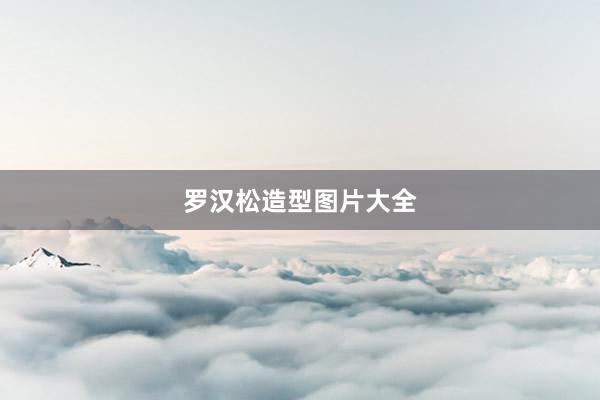 罗汉松造型图片大全
